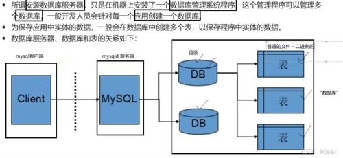 MySQL 数据处理与存储支持服务 构建高效可靠的数据管理方案
