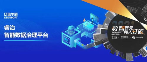 亿信华辰睿治VIP策略 打造数据治理最佳实践的数据处理与存储支持服务
